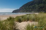 Manzanita Beach and town is less then 10 minutes from the house.